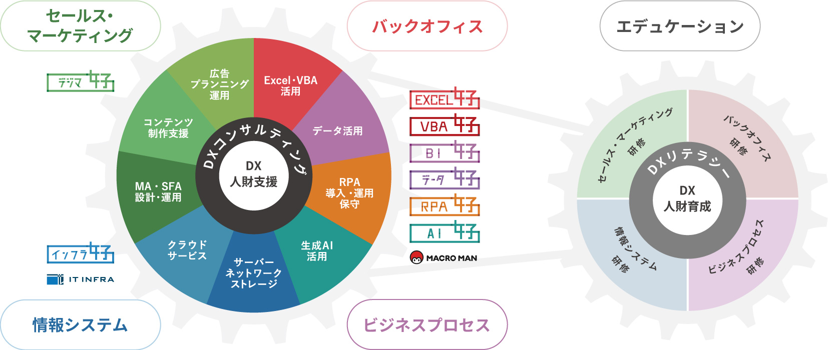 新コクー